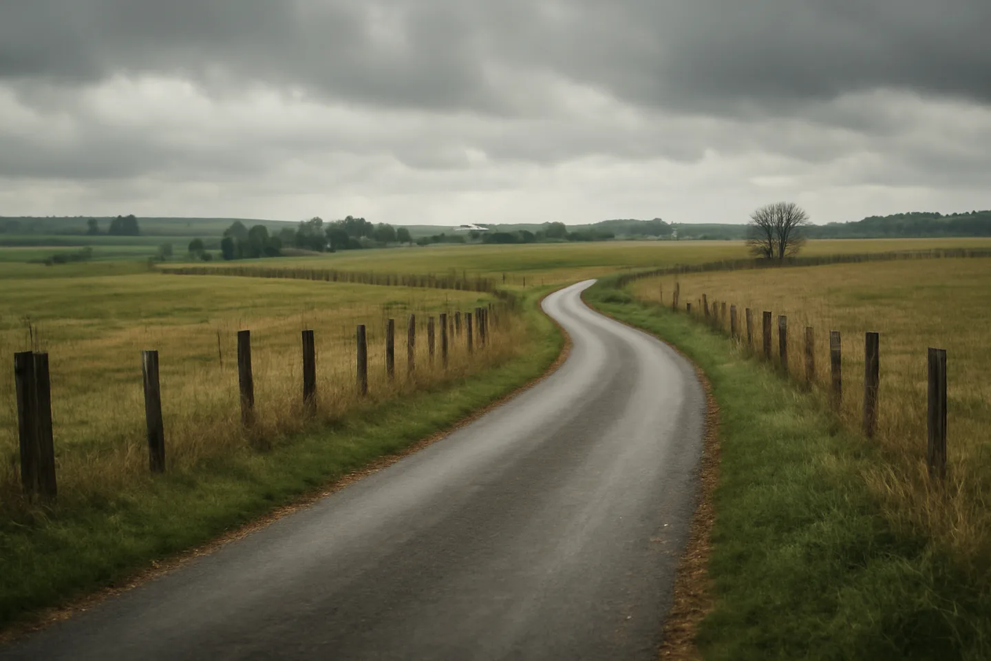 Rural road through open land parcels